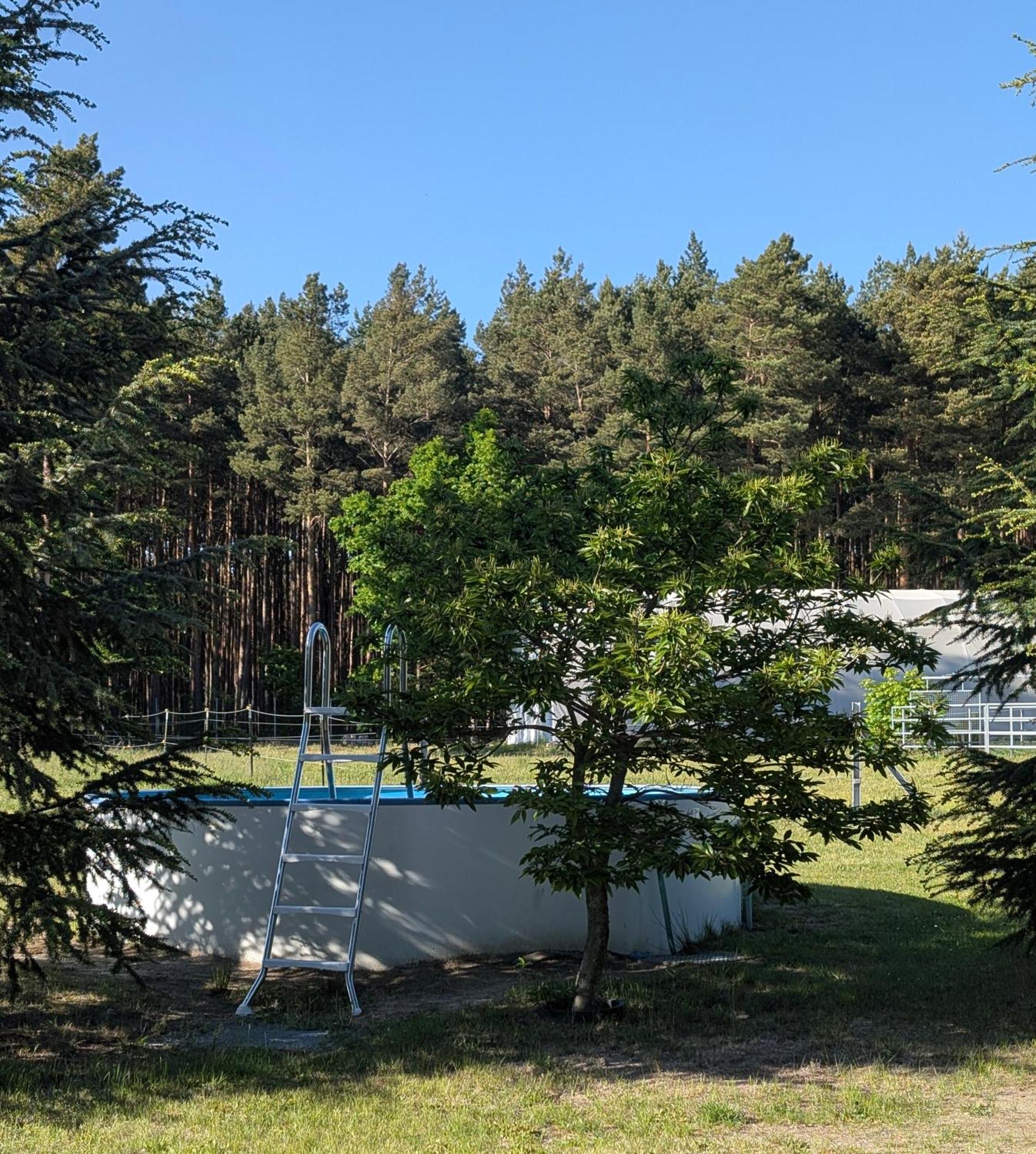 Pension Zum Reiterhof, Fewo 2 Schmogrow Bagian luar foto